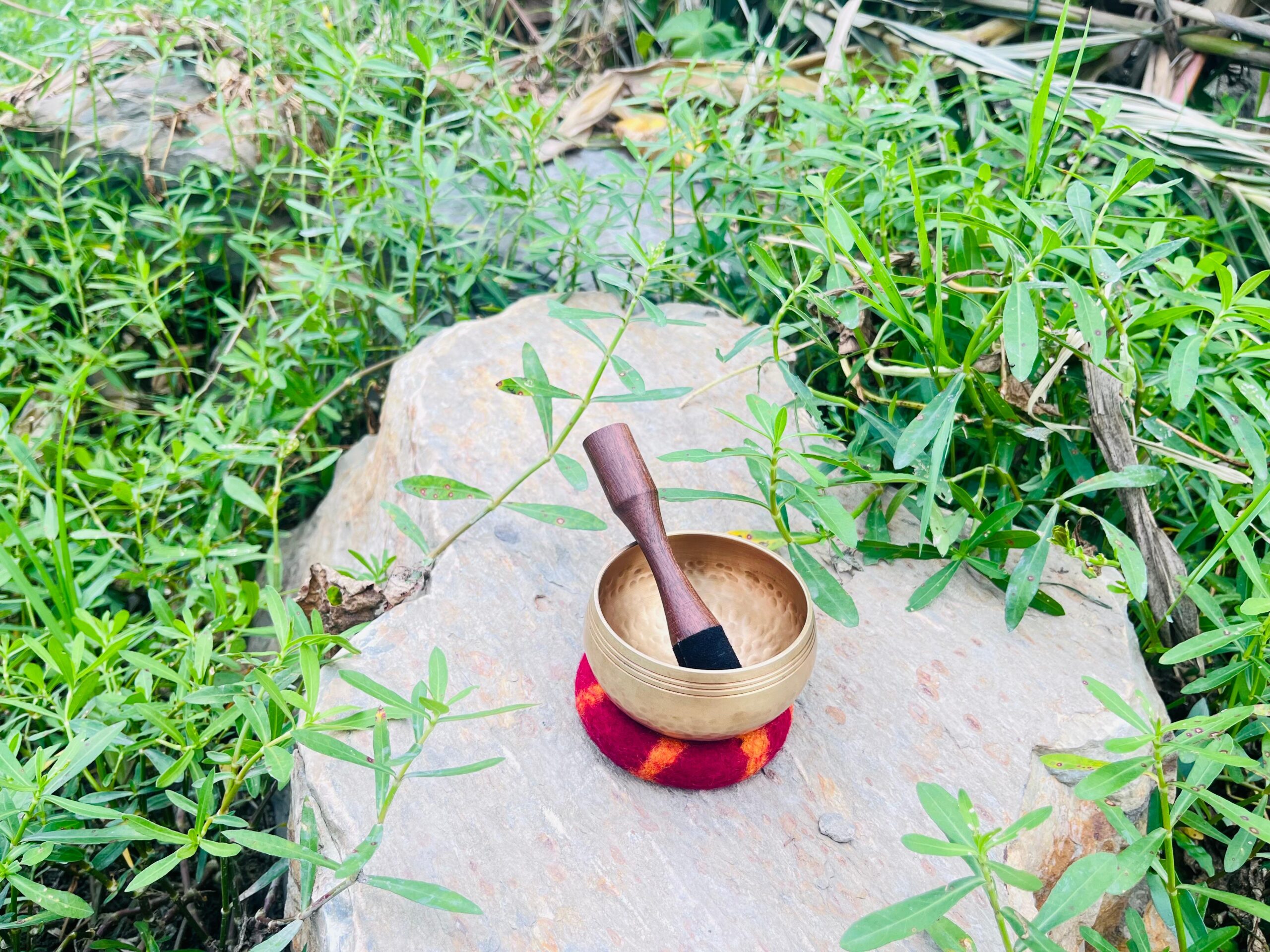 Great singing bowls