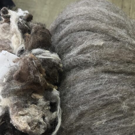 Newzeland raw wool